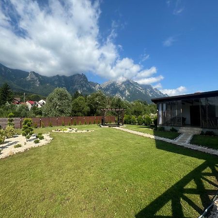 Villa Casuta Doi Ponei à Buşteni Extérieur photo