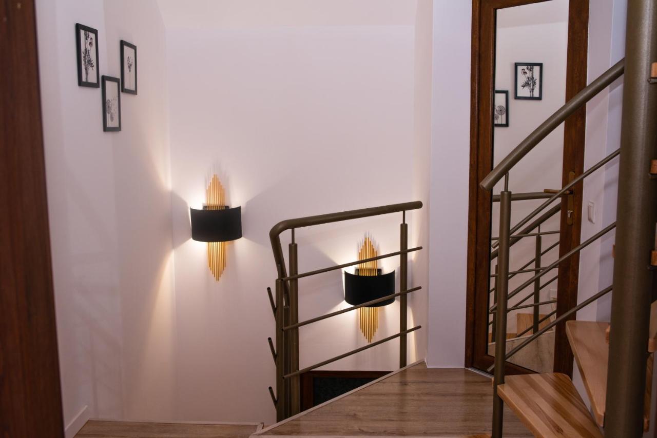 Villa Casuta Doi Ponei à Buşteni Extérieur photo