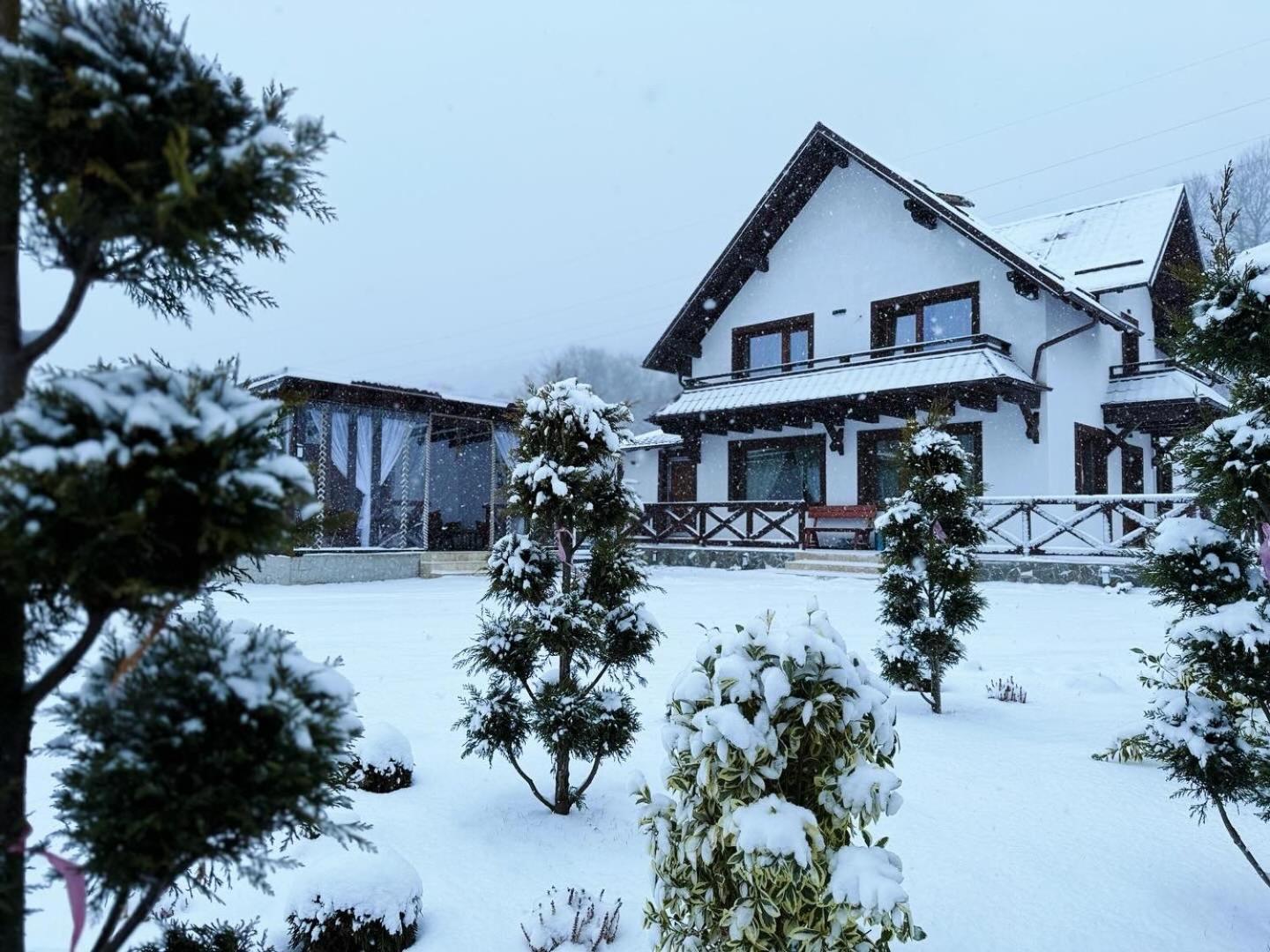 Villa Casuta Doi Ponei à Buşteni Extérieur photo